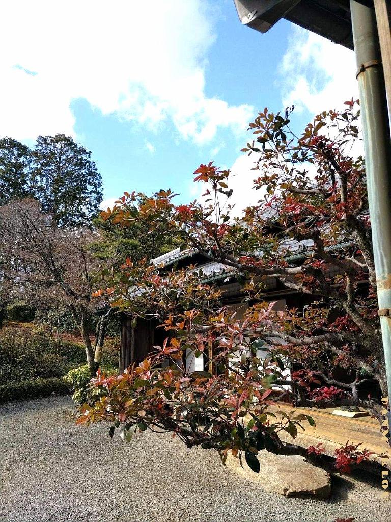 Meiji Mura - Village de l'ere Meiji - 15.01.2024 - 078.jpg